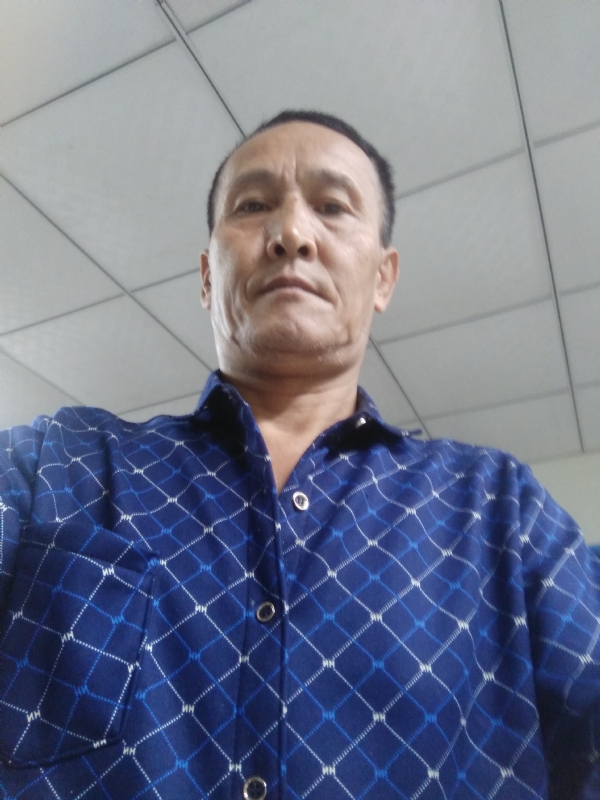 老树的第二张照片--福建上门女婿服务网